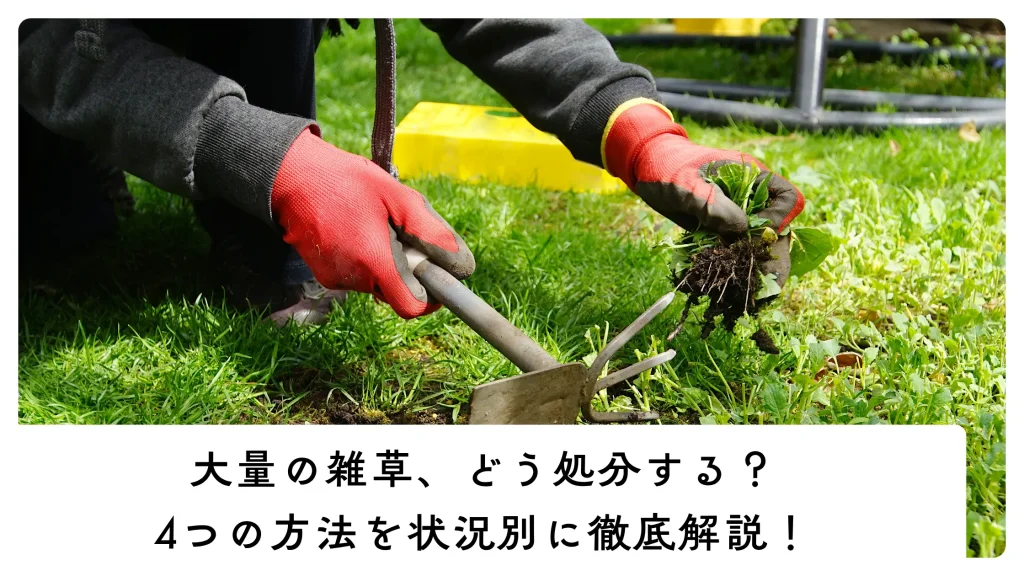 大量の雑草の処分方法のアイキャッチ画像