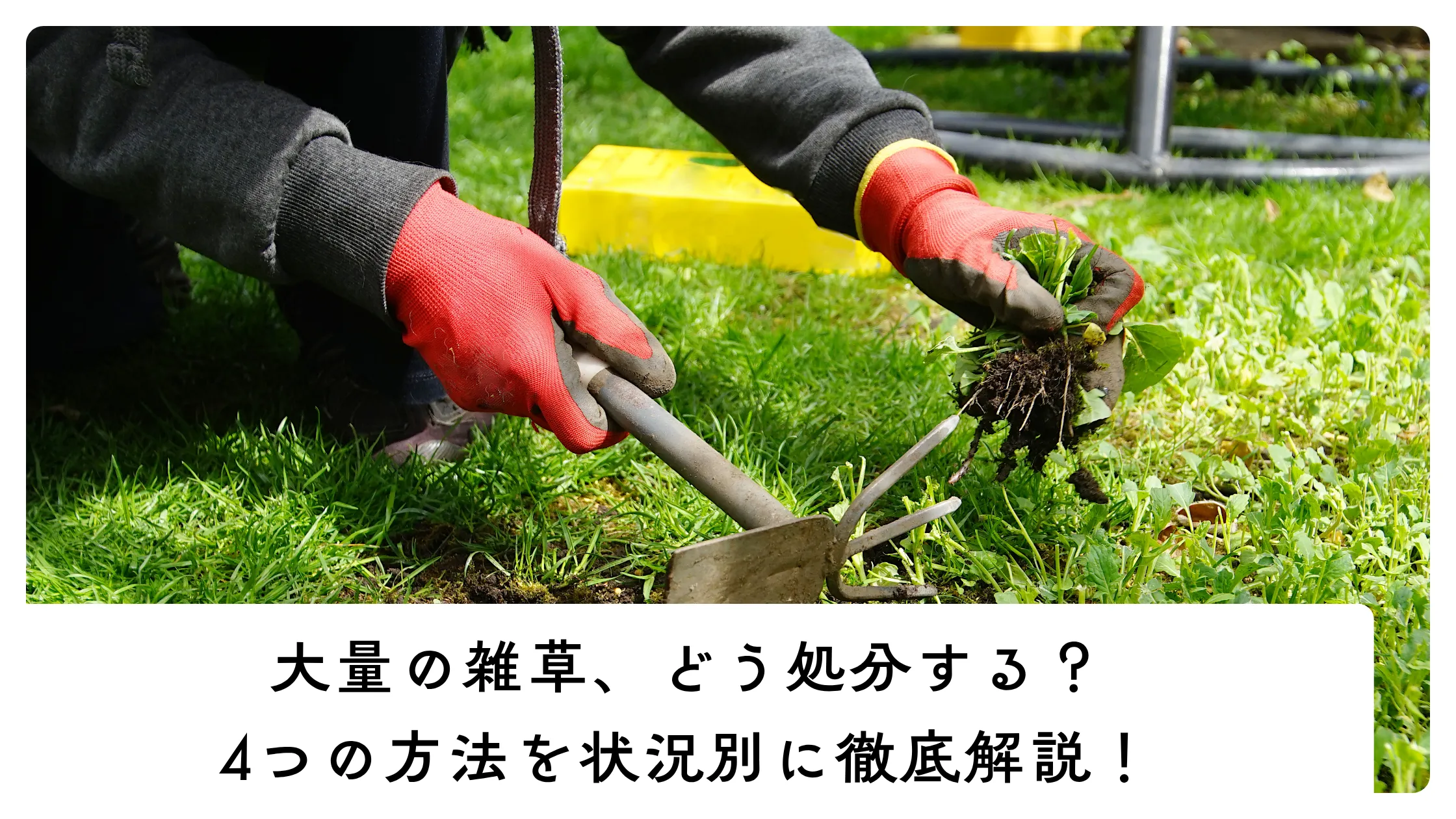 大量の雑草の処分方法のアイキャッチ画像
